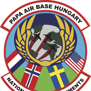 Heavy Airlift Wing 31 MSG/Det 1